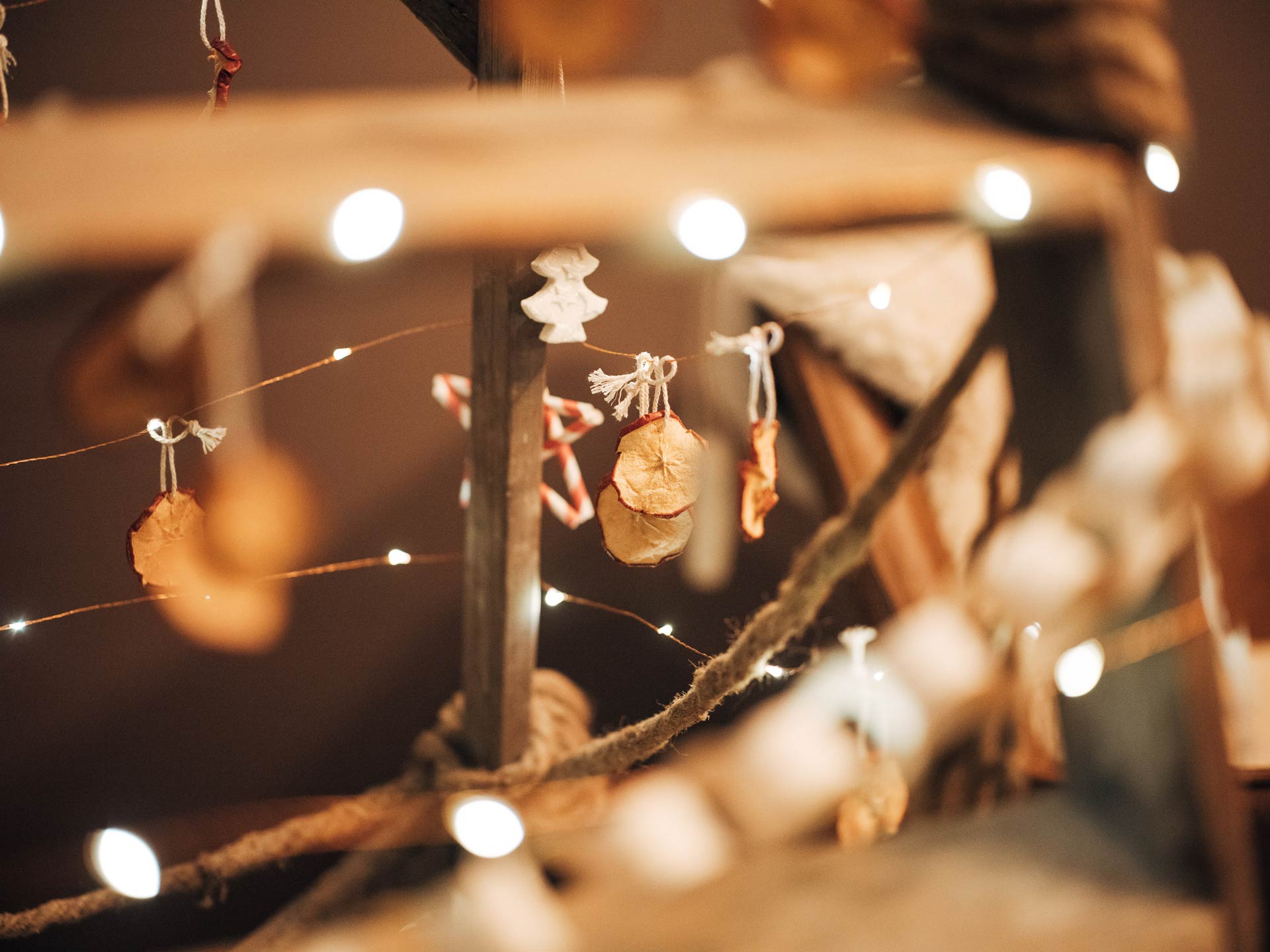 art-arminum-advent-16