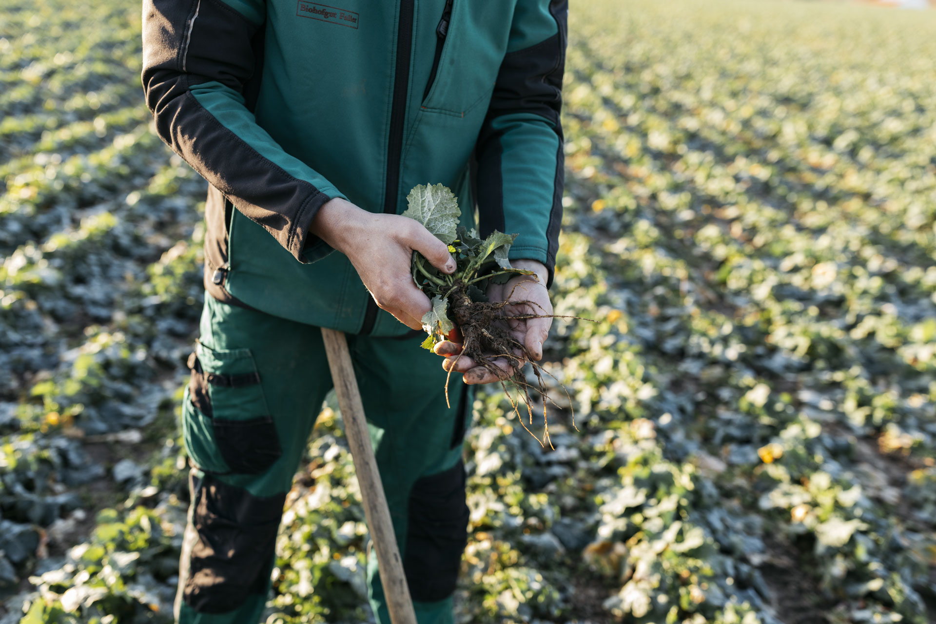 bioplanete_kampagne-baueraufacker